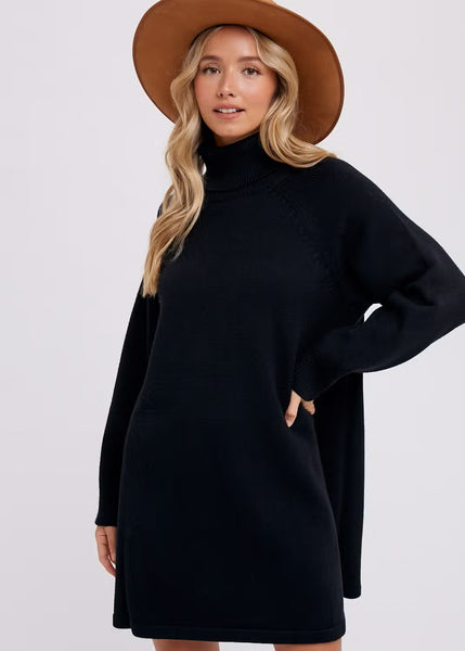 Arrianne Turtleneck Sweater Dress - Black