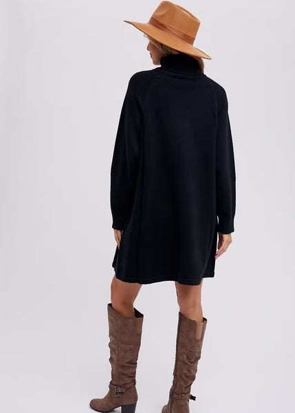 Arrianne Turtleneck Sweater Dress - Black